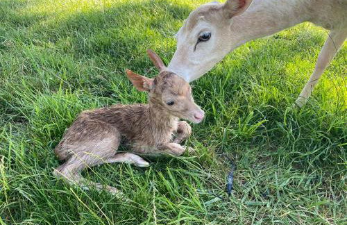 Monte do Lago, Pegões - Foto 52
