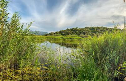 Casa Conxin Beach & Mountain Apartment Costa Blanca - Photo 15