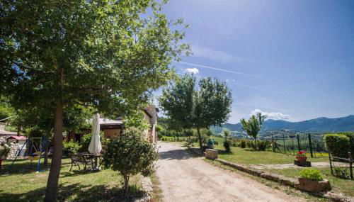 Bed and Breakfast Agriturismo La Palombara - Foto 4, Garden view