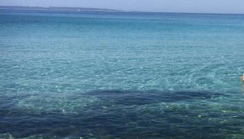 APARTMENT ŽUŽI Otok Silba Hrvatska - Foto 3