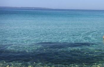 APARTMENT ŽUŽI Otok Silba Hrvatska - Foto 3