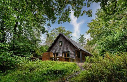 Ellastone, woodland lodge with hot tub for 8 - Foto 1