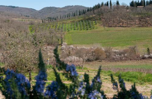 Rifugio sulla via di Volpaia - Photo 22