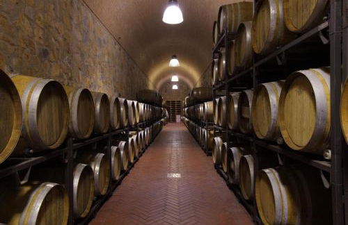 Fattoria di Magliano Winery - Foto 37