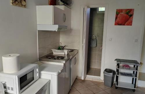 Studio indépendant, avec piscine et jardin, direct gare aéroport, 1 lit pour 2 personnes Direct Gare Aéroport - Foto 7