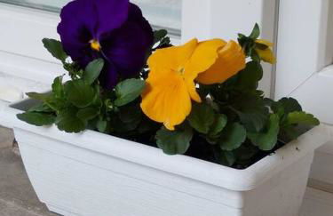 La casa al lago in centro storico - Foto 13