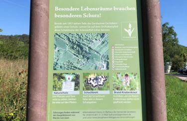 Dachgeflüster - Foto 23