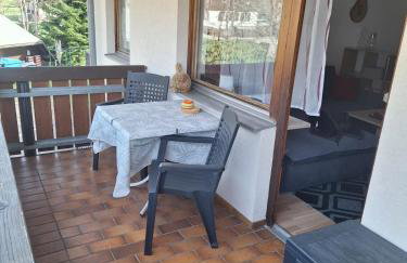 Gemütliche Ferienwohnung in Sankt Blasien - Foto 16