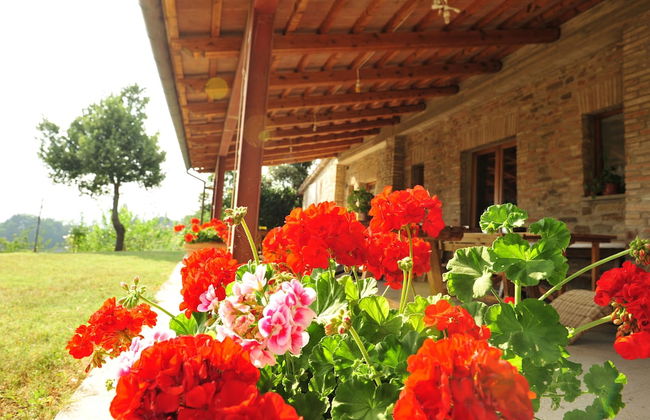 Agriturismo La Caputa - Photo 24