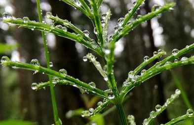 Odenwald Lounge im Naturpark Bergstraße-Odenwald - Photo 45
