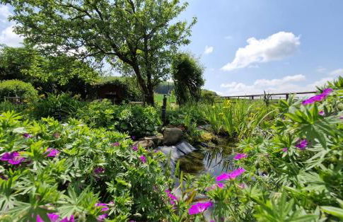 Anitas Landerlebnis - Foto 45