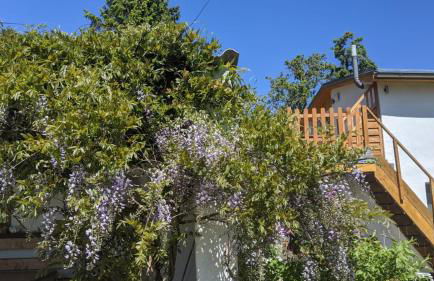 Neuenkirchen Moritzhagen - Photo 56