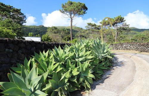 Mar D'Abstração - Photo 58