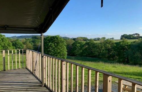 Redshank - Bleasdale - Foto 27