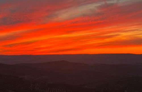Casa Javi y Carmen - Foto 27
