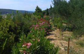 Apartment AMMIRARE Rab - Foto 55