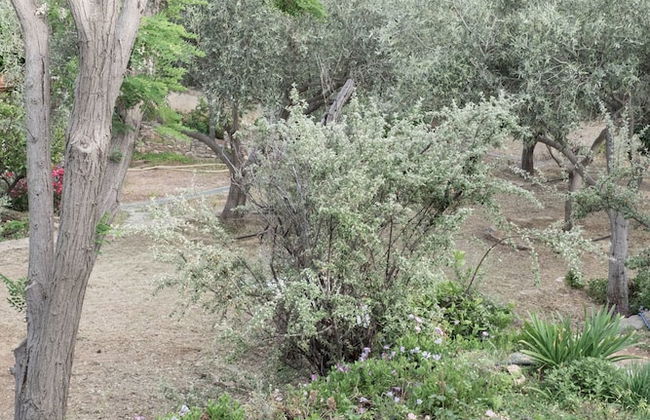 Beautiful mini eco farmhouse - Photo 30