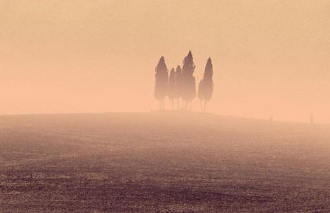 Agriturismo Casagrande - Photo 14