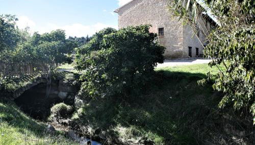 Hort de L'Aubert - Foto 4, Garden