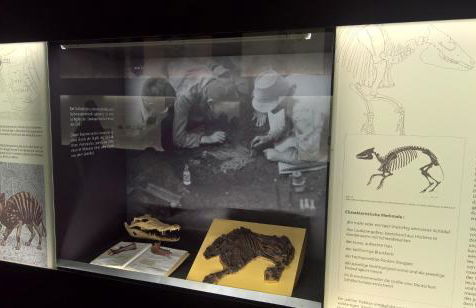 Ferienwohnung Markt 7 - Foto 37