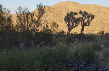 Steph's Panorama Paradise-Nat'l Park minutes away - Foto 7