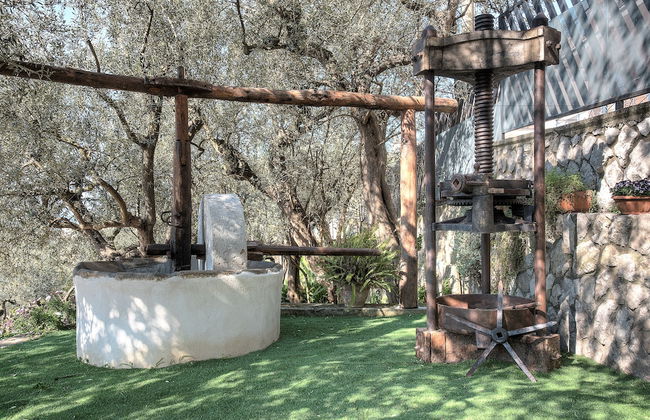 Agriturismo Oleum - Foto 40