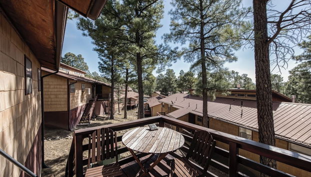 Fox Hollow by Ruidoso Vacation Rentals - Foto 3, Servicios del alojamiento