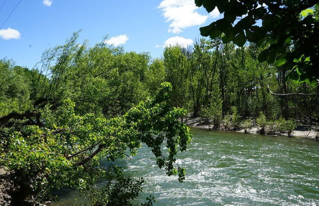 Cottage by the Historic Depot - Foto 22