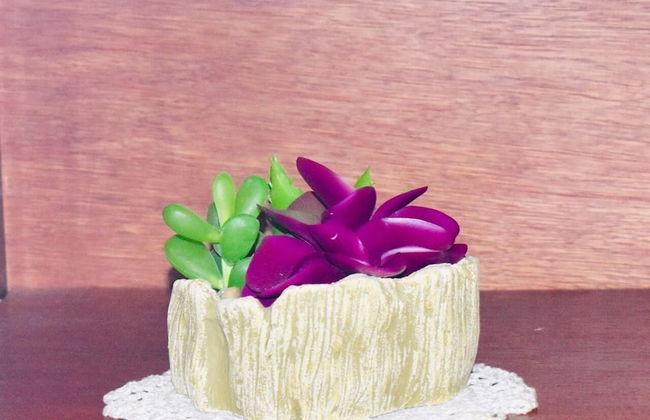 Kingston Guest Apartment At Dumbarton - Foto 11