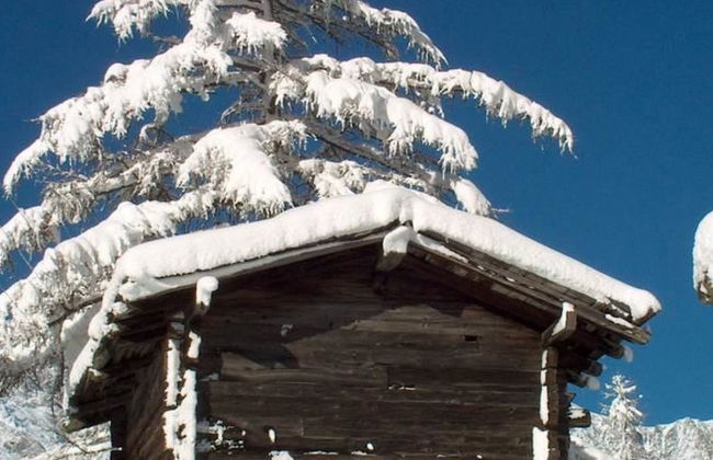 Chalet Alpenrösli - Foto 8