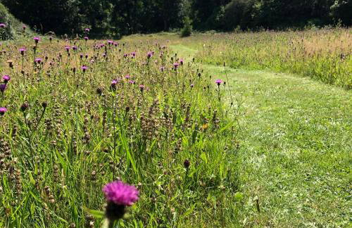 Hafan Cottage at Bryn Llys - Photo 20