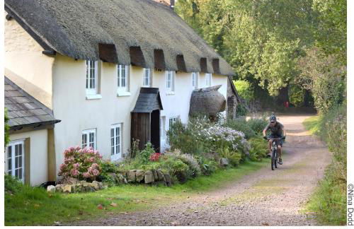 Dunster Studio Apartment - Photo 25