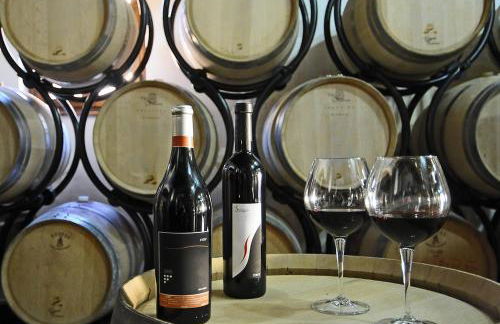 La Torre wine resort - Foto 42