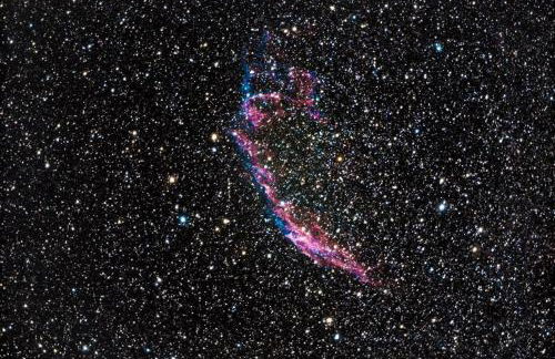 The Annex, Westerlands, Graffham - Foto 14