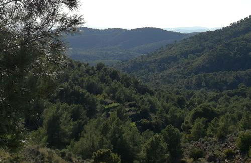 Ca'ls avis - Photo 7