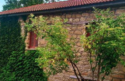 Βίλα Αρμονία Ορεινή Κορινθία - Foto 42