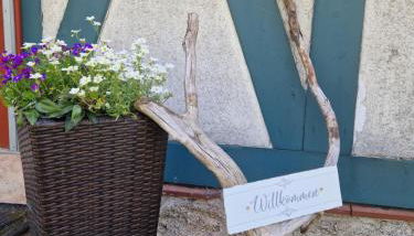 Ferienwohnung Waldblick - Foto 3