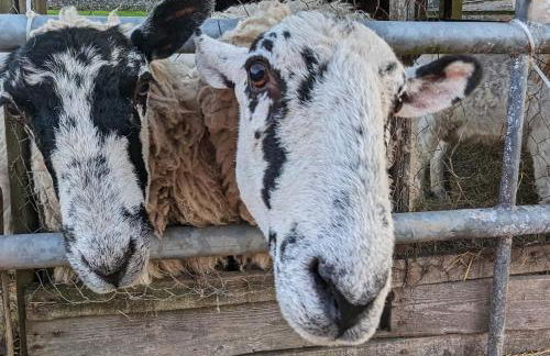 The Coach House at Brackenthwaite Farm - Photo 38