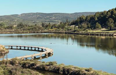 Appartement 1 chambre - Foto 11