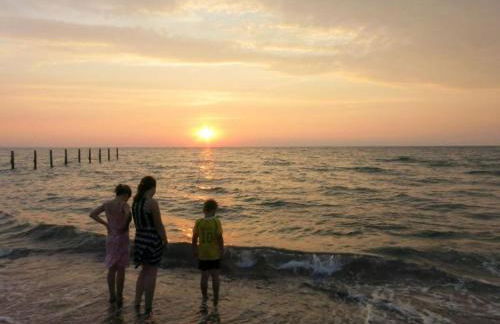 Farm Ferienhof Albert - Foto 36