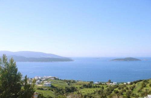 Marmari View - Photo 9