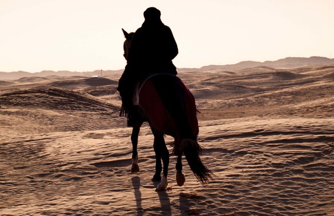 Passeio a cavalo pela costa de Sharm el-Sheikh - Foto 7