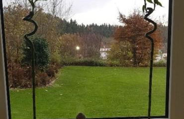 Die Wohlfühloase in Bad Dürrheim - DreiWeltenCard - Foto 24