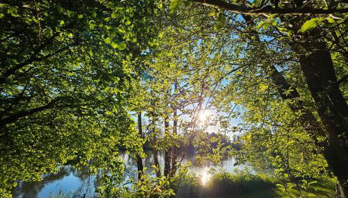 Weiherhüttla - Foto 5