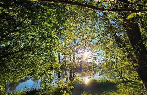 Weiherhüttla - Foto 5