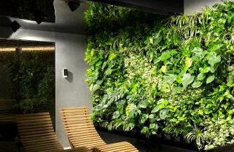 Green Deer Premium - Foto 96