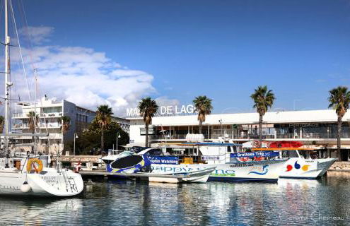 CASA BEACHCOMBER Le jardin des Arts - Foto 76