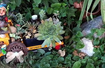 PINAR DE LAS CABAÑUELAS - Foto 56