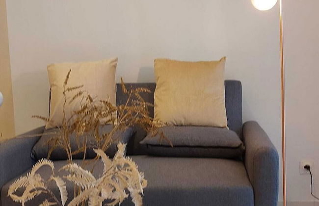 Villa Olympique Proche Paris - Foto 61