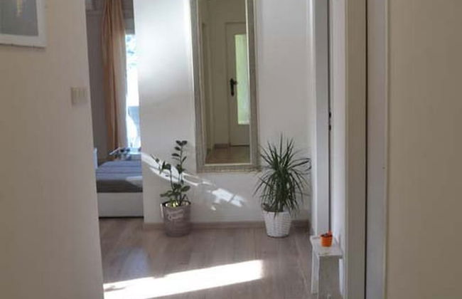 Apartments Gavacic - Photo 41